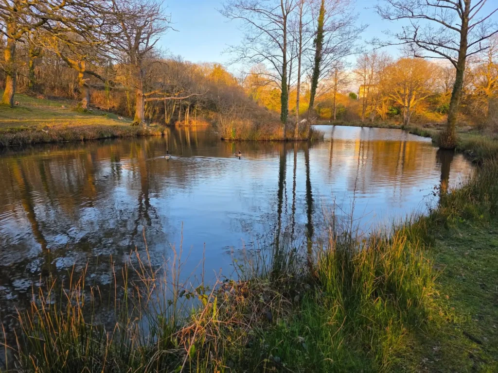 The lake in autumn colour