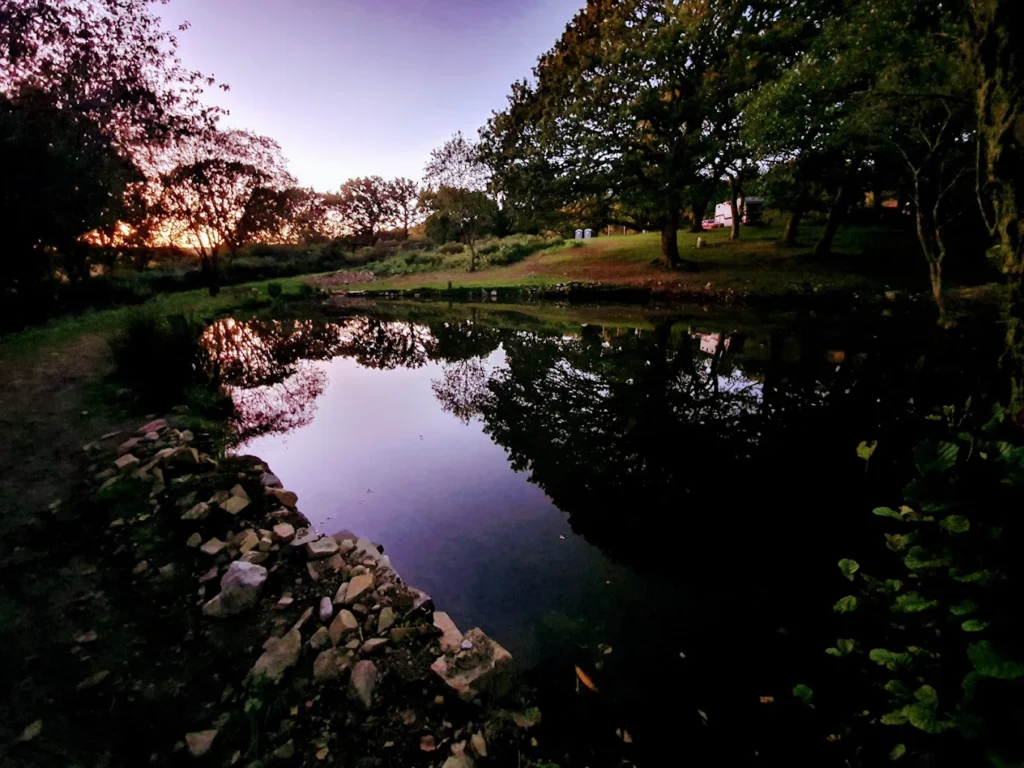 The lake at dusk