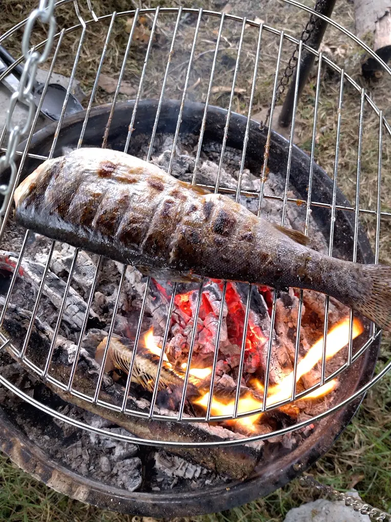 A trout cooking on the barbecue