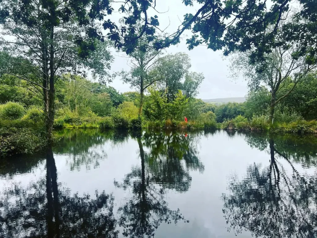 The lake in summer