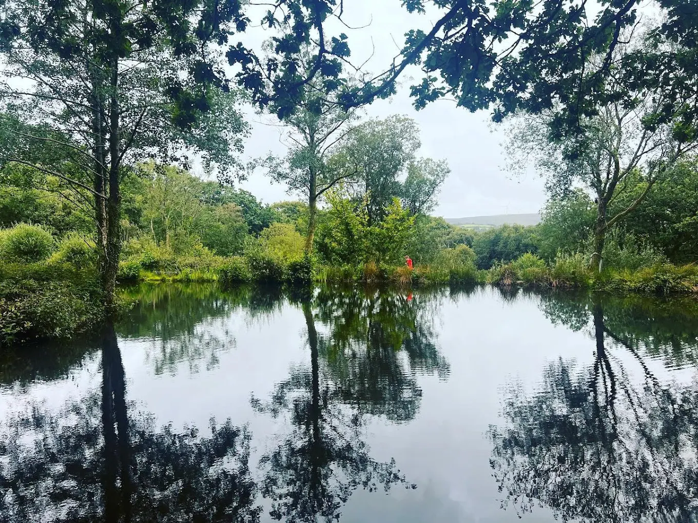 The lake in summer