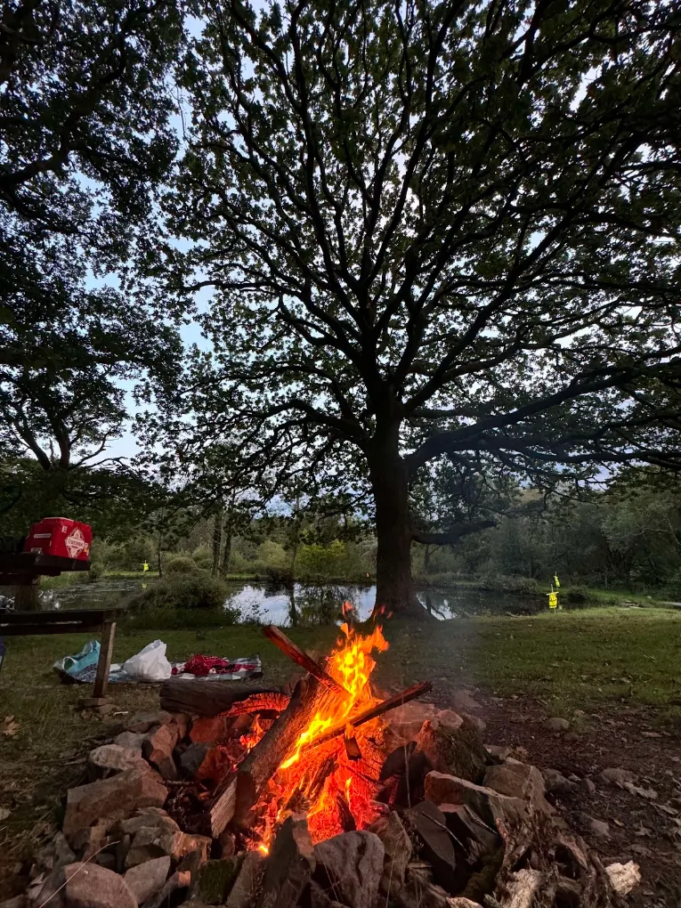 A campfire and tents after dark